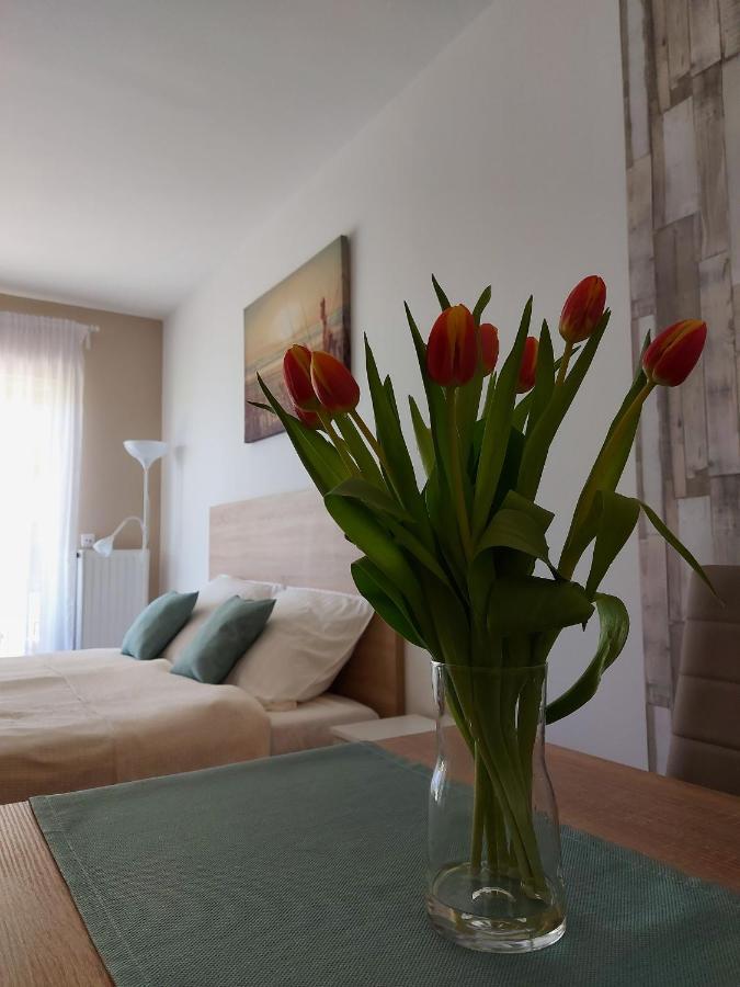 Bike & Spa Velence Apartman 外观 照片